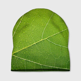 Шапка 3D с принтом Листик 2 в Белгороде, 100% полиэстер | универсальный размер, печать по всей поверхности изделия | зеленый | зелень | лист | природа | растения