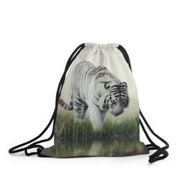 Рюкзак-мешок 3D с принтом Белый тигр в Белгороде, 100% полиэстер | плотность ткани — 200 г/м2, размер — 35 х 45 см; лямки — толстые шнурки, застежка на шнуровке, без карманов и подкладки | Тематика изображения на принте: дикая кошка | природа | тигр | хищник