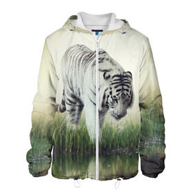 Мужская куртка 3D с принтом Белый тигр в Белгороде, ткань верха — 100% полиэстер, подклад — флис | прямой крой, подол и капюшон оформлены резинкой с фиксаторами, два кармана без застежек по бокам, один большой потайной карман на груди. Карман на груди застегивается на липучку | дикая кошка | природа | тигр | хищник