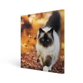 Холст квадратный с принтом Котик в листьях в Белгороде, 100% ПВХ |  | Тематика изображения на принте: грация | кот | котик | кошка | листья | осень