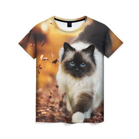 Женская футболка 3D с принтом Котик в листьях в Белгороде, 100% полиэфир ( синтетическое хлопкоподобное полотно) | прямой крой, круглый вырез горловины, длина до линии бедер | грация | кот | котик | кошка | листья | осень