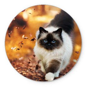 Коврик круглый с принтом Котик в листьях в Белгороде, резина и полиэстер | круглая форма, изображение наносится на всю лицевую часть | грация | кот | котик | кошка | листья | осень