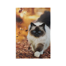 Обложка для паспорта матовая кожа с принтом Котик в листьях в Белгороде, натуральная матовая кожа | размер 19,3 х 13,7 см; прозрачные пластиковые крепления | грация | кот | котик | кошка | листья | осень