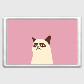 Магнит 45*70 с принтом Grumpy cat pink в Белгороде, Пластик | Размер: 78*52 мм; Размер печати: 70*45 | Тематика изображения на принте: кот | мем | угрюмый