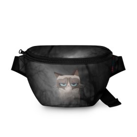Поясная сумка 3D с принтом Grumpy Cat в Белгороде, 100% полиэстер | плотная ткань, ремень с регулируемой длиной, внутри несколько карманов для мелочей, основное отделение и карман с обратной стороны сумки застегиваются на молнию | кот | мем | угрюмый