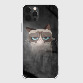 Чехол для iPhone 12 Pro Max с принтом Grumpy Cat в Белгороде, Силикон |  | кот | мем | угрюмый