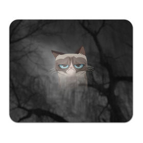 Коврик прямоугольный с принтом Grumpy Cat в Белгороде, натуральный каучук | размер 230 х 185 мм; запечатка лицевой стороны | Тематика изображения на принте: кот | мем | угрюмый