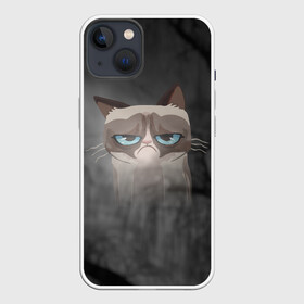 Чехол для iPhone 13 с принтом Grumpy Cat в Белгороде,  |  | кот | мем | угрюмый