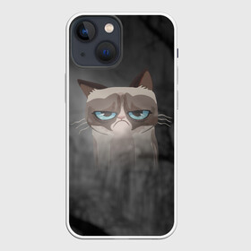 Чехол для iPhone 13 mini с принтом Grumpy Cat в Белгороде,  |  | кот | мем | угрюмый