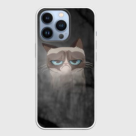 Чехол для iPhone 13 Pro с принтом Grumpy Cat в Белгороде,  |  | кот | мем | угрюмый