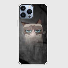 Чехол для iPhone 13 Pro Max с принтом Grumpy Cat в Белгороде,  |  | кот | мем | угрюмый