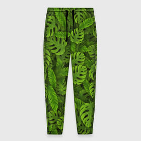 Мужские брюки 3D с принтом Тропические листья в Белгороде, 100% полиэстер | манжеты по низу, эластичный пояс регулируется шнурком, по бокам два кармана без застежек, внутренняя часть кармана из мелкой сетки | джунгли | монстера | пальма | растения | тропики