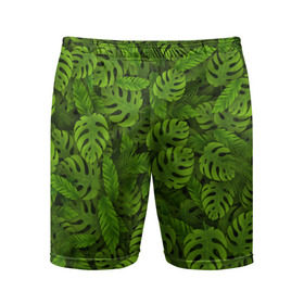 Мужские шорты 3D спортивные с принтом Тропические листья в Белгороде,  |  | Тематика изображения на принте: джунгли | монстера | пальма | растения | тропики