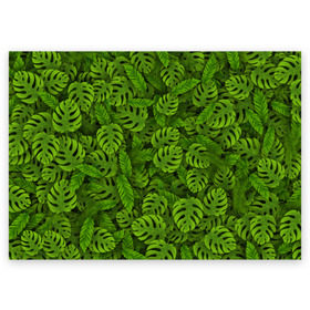 Поздравительная открытка с принтом Тропические листья в Белгороде, 100% бумага | плотность бумаги 280 г/м2, матовая, на обратной стороне линовка и место для марки
 | джунгли | монстера | пальма | растения | тропики