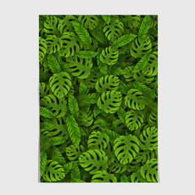 Постер с принтом Тропические листья в Белгороде, 100% бумага
 | бумага, плотность 150 мг. Матовая, но за счет высокого коэффициента гладкости имеет небольшой блеск и дает на свету блики, но в отличии от глянцевой бумаги не покрыта лаком | джунгли | монстера | пальма | растения | тропики
