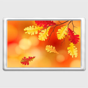 Магнит 45*70 с принтом Осень в Белгороде, Пластик | Размер: 78*52 мм; Размер печати: 70*45 | ветви | ветка | дерево | дуб | листок | листья | природа