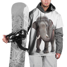 Накидка на куртку 3D с принтом Слон VPPDGryphon в Белгороде, 100% полиэстер |  | luxury | premium | vip | vppdgryphon | премиум | слон | эксклюзив