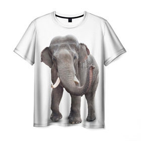 Мужская футболка 3D с принтом Слон VPPDGryphon в Белгороде, 100% полиэфир | прямой крой, круглый вырез горловины, длина до линии бедер | luxury | premium | vip | vppdgryphon | премиум | слон | эксклюзив