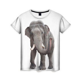Женская футболка 3D с принтом Слон VPPDGryphon в Белгороде, 100% полиэфир ( синтетическое хлопкоподобное полотно) | прямой крой, круглый вырез горловины, длина до линии бедер | luxury | premium | vip | vppdgryphon | премиум | слон | эксклюзив