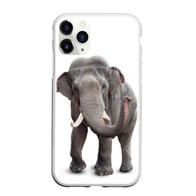 Чехол для iPhone 11 Pro матовый с принтом Слон VPPDGryphon в Белгороде, Силикон |  | luxury | premium | vip | vppdgryphon | премиум | слон | эксклюзив