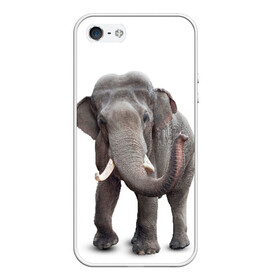 Чехол для iPhone 5/5S матовый с принтом Слон VPPDGryphon в Белгороде, Силикон | Область печати: задняя сторона чехла, без боковых панелей | luxury | premium | vip | vppdgryphon | премиум | слон | эксклюзив