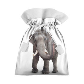 Подарочный 3D мешок с принтом Слон VPPDGryphon в Белгороде, 100% полиэстер | Размер: 29*39 см | luxury | premium | vip | vppdgryphon | премиум | слон | эксклюзив