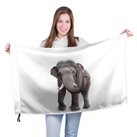 Флаг 3D с принтом Слон VPPDGryphon в Белгороде, 100% полиэстер | плотность ткани — 95 г/м2, размер — 67 х 109 см. Принт наносится с одной стороны | luxury | premium | vip | vppdgryphon | премиум | слон | эксклюзив