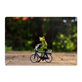 Магнитный плакат 3Х2 с принтом Лягушка в Белгороде, Полимерный материал с магнитным слоем | 6 деталей размером 9*9 см | Тематика изображения на принте: велосипед | жаба | животные | лягушка | мини | фигурка