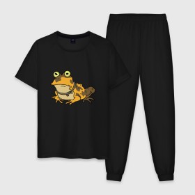 Мужская пижама хлопок с принтом Гипножаба в Белгороде, 100% хлопок | брюки и футболка прямого кроя, без карманов, на брюках мягкая резинка на поясе и по низу штанин
 | 