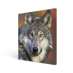 Холст квадратный с принтом Волк в Белгороде, 100% ПВХ |  | волк | волки | волчата | волчонок | хищник