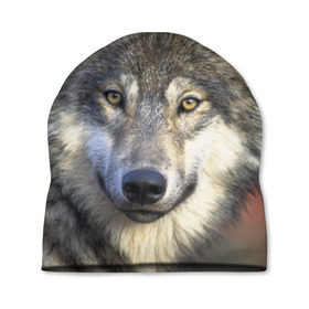 Шапка 3D с принтом Волк в Белгороде, 100% полиэстер | универсальный размер, печать по всей поверхности изделия | волк | волки | волчата | волчонок | хищник