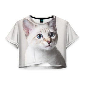 Женская футболка 3D укороченная с принтом Кошечка в Белгороде, 100% полиэстер | круглая горловина, длина футболки до линии талии, рукава с отворотами | кот | котики | котята | кошка | рыженький | рыжий | серенький | черненький