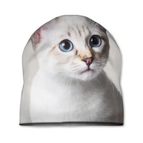 Шапка 3D с принтом Кошечка в Белгороде, 100% полиэстер | универсальный размер, печать по всей поверхности изделия | кот | котики | котята | кошка | рыженький | рыжий | серенький | черненький