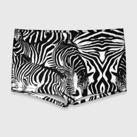 Мужские купальные плавки 3D с принтом Зебра в Белгороде, Полиэстер 85%, Спандекс 15% |  | дикое | животное | зебра | камуфляж | лошадь | маскировка | полосы | текстура | фон | черно белые