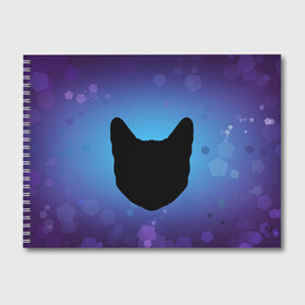 Альбом для рисования с принтом Силуэт черной кошки в Белгороде, 100% бумага
 | матовая бумага, плотность 200 мг. | Тематика изображения на принте: кошка | силуэт | синий | фиолетовый | черный