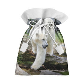 Подарочный 3D мешок с принтом Белый медведь в Белгороде, 100% полиэстер | Размер: 29*39 см | арктика