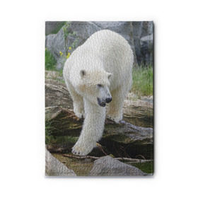 Обложка для автодокументов с принтом Белый медведь в Белгороде, натуральная кожа |  размер 19,9*13 см; внутри 4 больших “конверта” для документов и один маленький отдел — туда идеально встанут права | арктика
