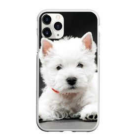 Чехол для iPhone 11 Pro Max матовый с принтом Вест-хайленд-уайт-терьер в Белгороде, Силикон |  | вест хайленд уайт терьер | животное | порода | собака