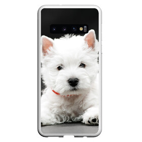 Чехол для Samsung Galaxy S10 с принтом Вест-хайленд-уайт-терьер в Белгороде, Силикон | Область печати: задняя сторона чехла, без боковых панелей | вест хайленд уайт терьер | животное | порода | собака