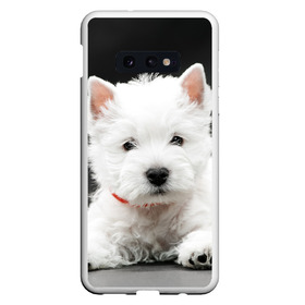 Чехол для Samsung S10E с принтом Вест-хайленд-уайт-терьер в Белгороде, Силикон | Область печати: задняя сторона чехла, без боковых панелей | вест хайленд уайт терьер | животное | порода | собака