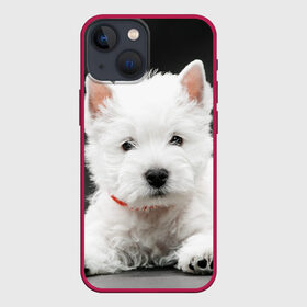 Чехол для iPhone 13 mini с принтом Вест хайленд уайт терьер в Белгороде,  |  | вест хайленд уайт терьер | животное | порода | собака
