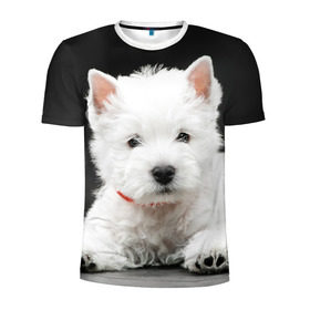 Мужская футболка 3D спортивная с принтом Вест-хайленд-уайт-терьер в Белгороде, 100% полиэстер с улучшенными характеристиками | приталенный силуэт, круглая горловина, широкие плечи, сужается к линии бедра | Тематика изображения на принте: вест хайленд уайт терьер | животное | порода | собака