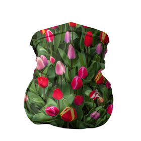 Бандана-труба 3D с принтом Тюльпанчики в Белгороде, 100% полиэстер, ткань с особыми свойствами — Activecool | плотность 150‒180 г/м2; хорошо тянется, но сохраняет форму | зеленый | поле | природа | растения | тюльпаны | цветной | цветы