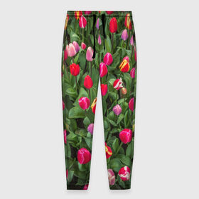 Мужские брюки 3D с принтом Тюльпанчики в Белгороде, 100% полиэстер | манжеты по низу, эластичный пояс регулируется шнурком, по бокам два кармана без застежек, внутренняя часть кармана из мелкой сетки | зеленый | поле | природа | растения | тюльпаны | цветной | цветы