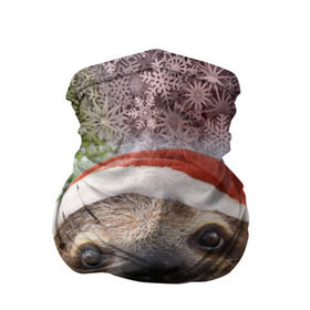Бандана-труба 3D с принтом Рождественский ленивец в Белгороде, 100% полиэстер, ткань с особыми свойствами — Activecool | плотность 150‒180 г/м2; хорошо тянется, но сохраняет форму | Тематика изображения на принте: джунгли | животное | ленивый | лень | новый год | рождество | снег | снежинки | тропики | улыбка | шапка