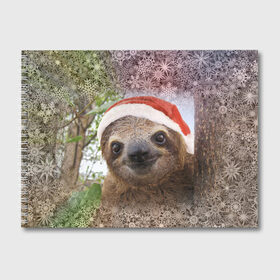 Альбом для рисования с принтом Рождественский ленивец в Белгороде, 100% бумага
 | матовая бумага, плотность 200 мг. | Тематика изображения на принте: джунгли | животное | ленивый | лень | новый год | рождество | снег | снежинки | тропики | улыбка | шапка