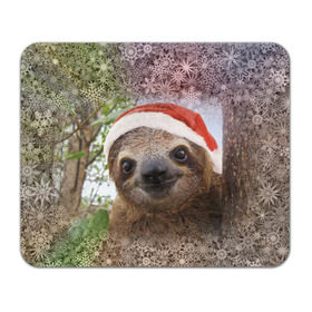 Коврик прямоугольный с принтом Рождественский ленивец в Белгороде, натуральный каучук | размер 230 х 185 мм; запечатка лицевой стороны | Тематика изображения на принте: джунгли | животное | ленивый | лень | новый год | рождество | снег | снежинки | тропики | улыбка | шапка