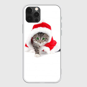 Чехол для iPhone 12 Pro Max с принтом Новогодняя Киса в Белгороде, Силикон |  | cat | christmas | new year | winter | дед мороз | зима | кисы | кошки | новый год | рождество