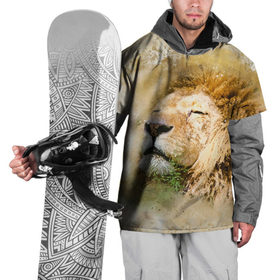 Накидка на куртку 3D с принтом Лев в Белгороде, 100% полиэстер |  | зверь | лев | тигр | хищник