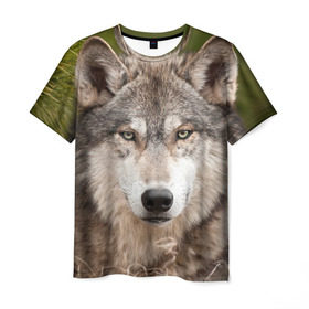 Мужская футболка 3D с принтом Волк в Белгороде, 100% полиэфир | прямой крой, круглый вырез горловины, длина до линии бедер | Тематика изображения на принте: animal | eyes | forest | predator | wild | wolf | взгляд | волк | дикий | животное | зверь | лес | хищник